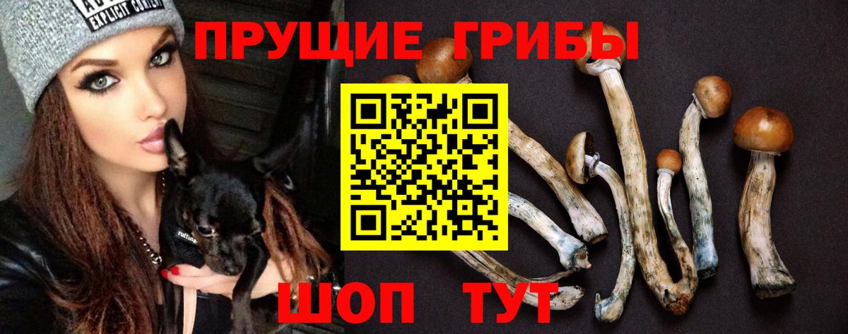 Псилоцибиновые грибы ЛСД Шахты