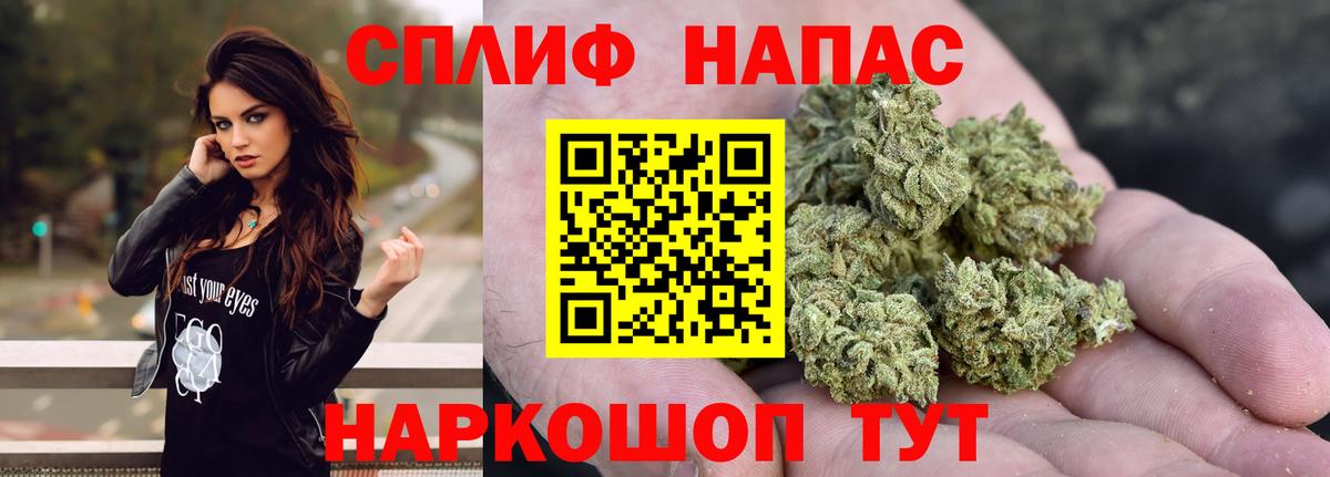 Шишки марихуана планчик Шахты